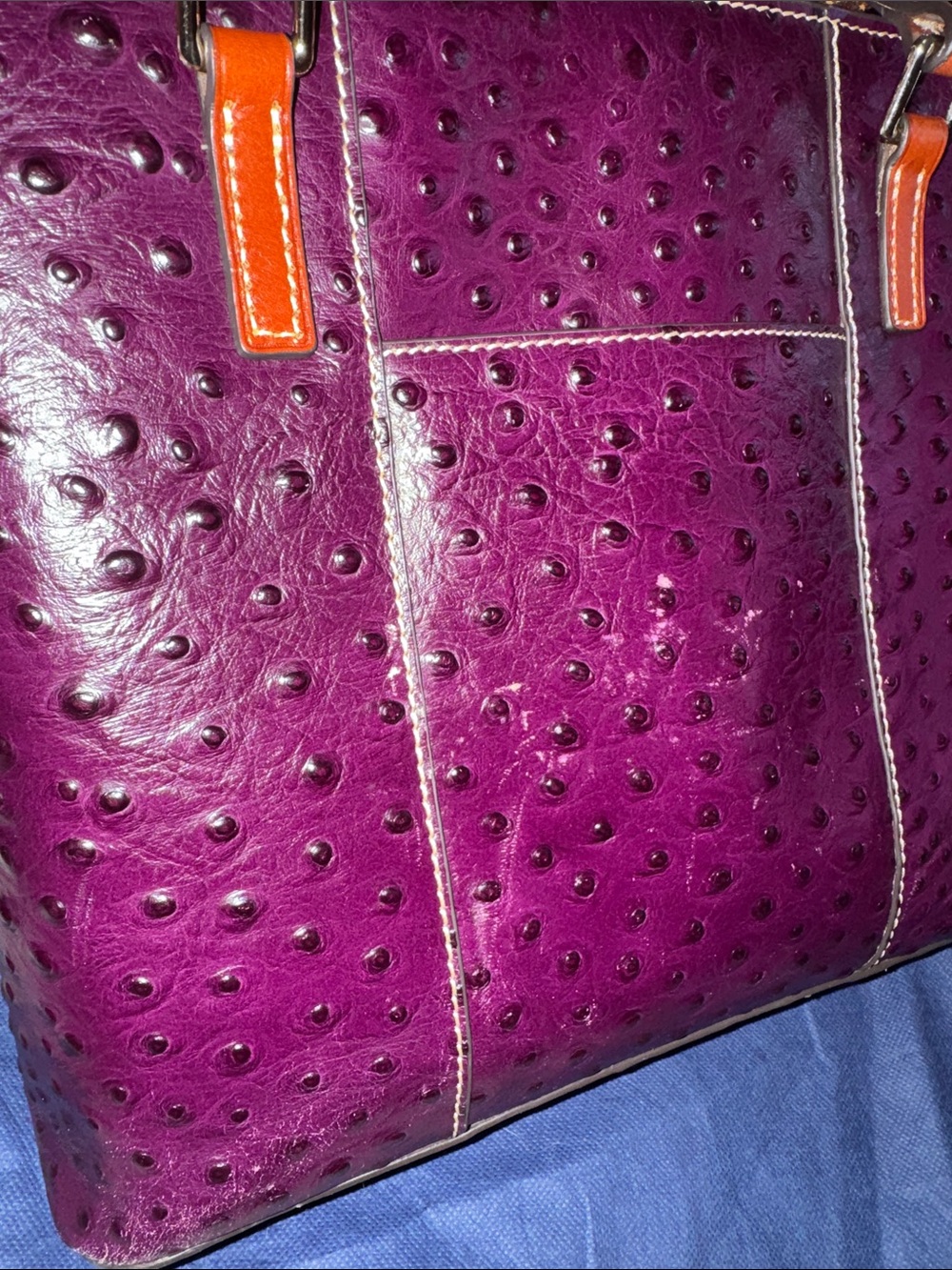 Dooney & Bourke Plum Ostrich-Embossed Tote with Brown Leather Handles - Picture 13 of 16